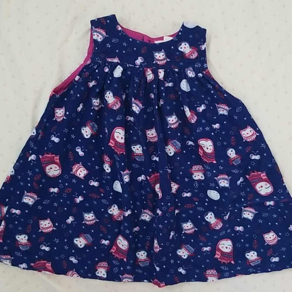 Pumpkin Patch Owl corduroy dress